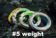 #5 Weight Sinking